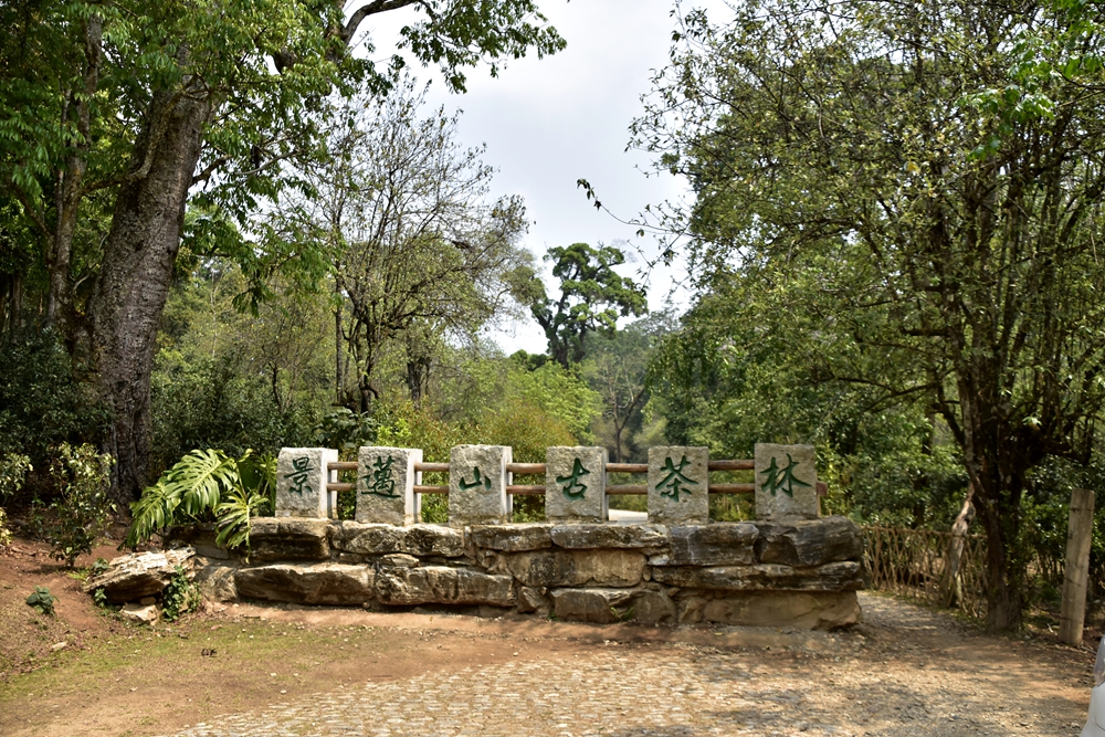 _DSC2270_副本.jpg